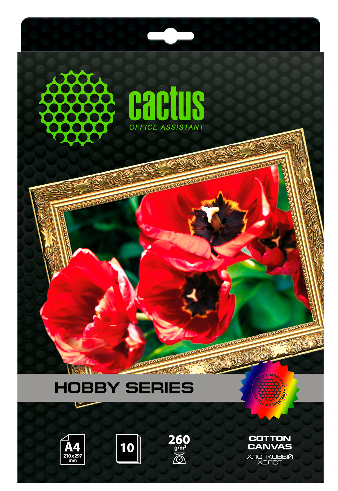 Холст CACTUS CS-CA426010