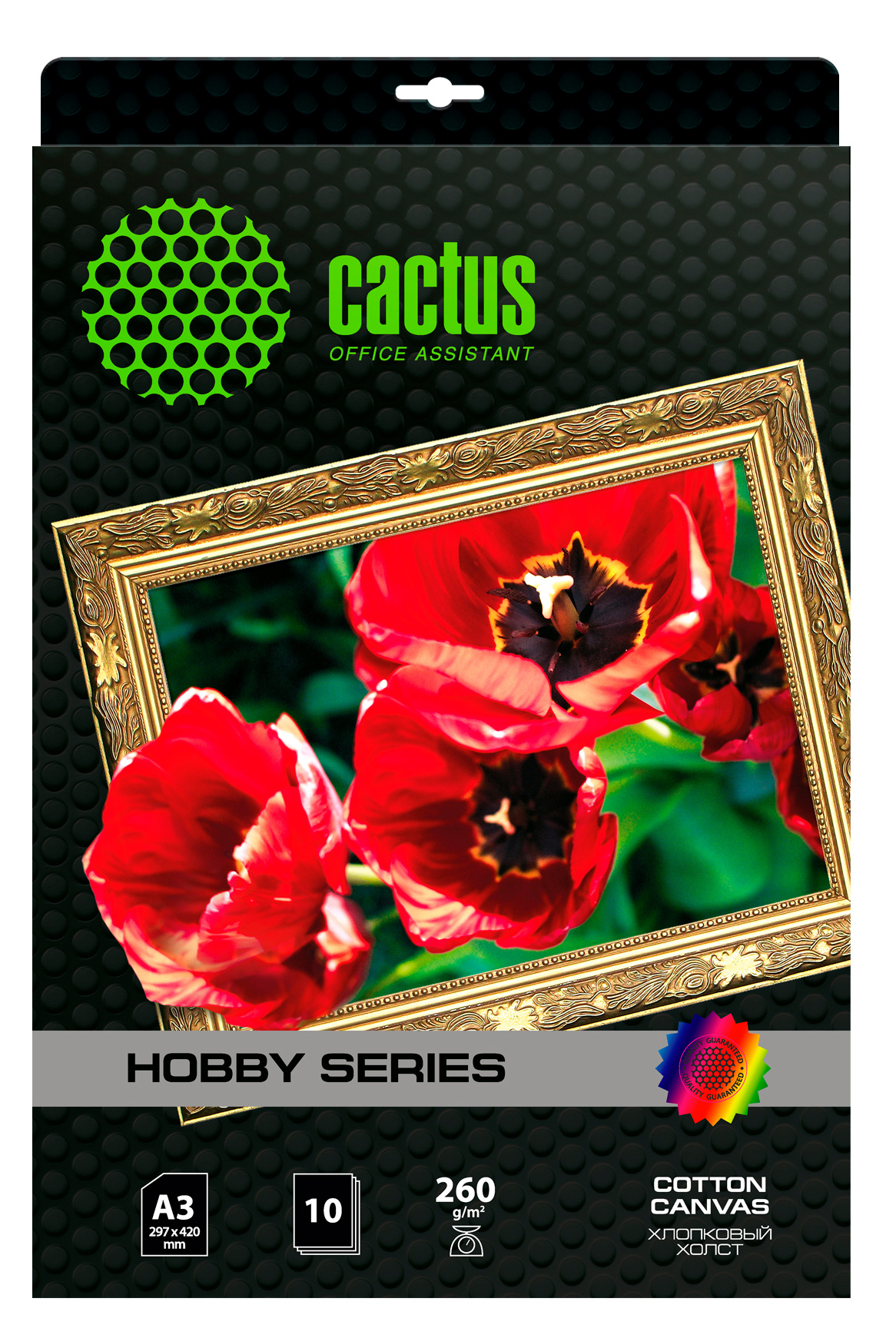 Холст CACTUS CS-CA326010