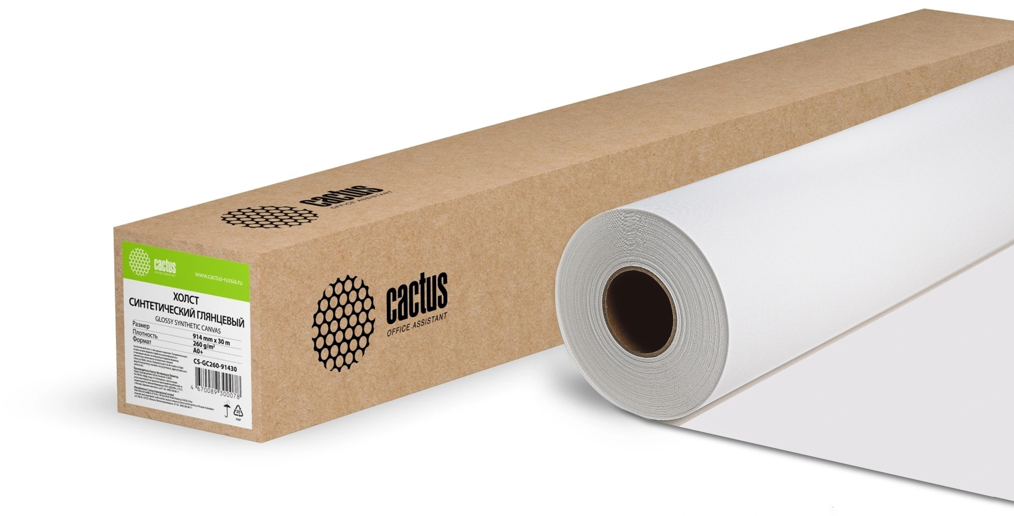 CACTUS CS-GC260-91430