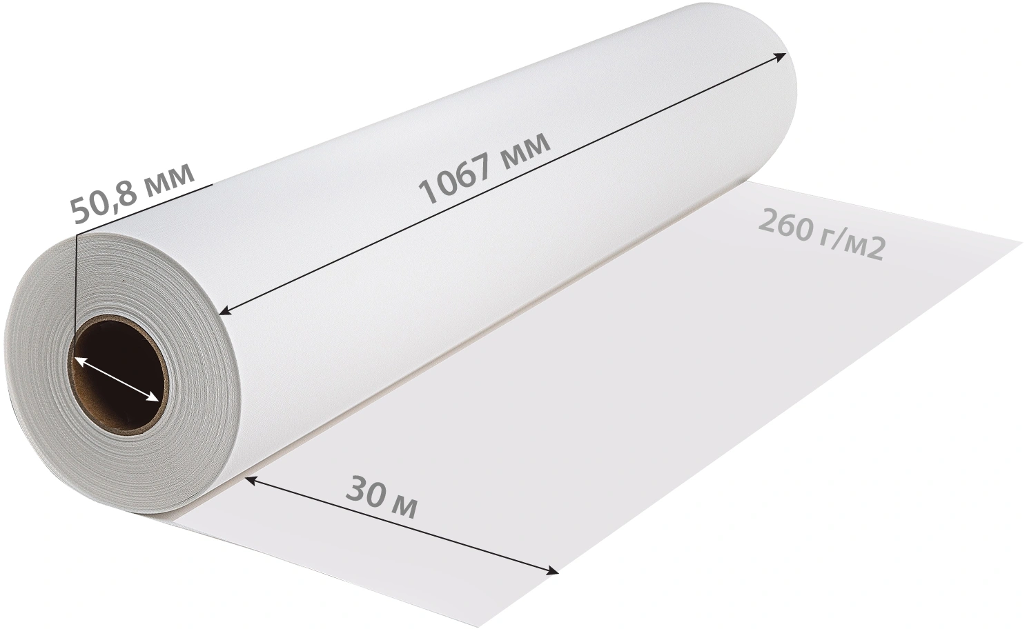 CACTUS CS-GC260-106730