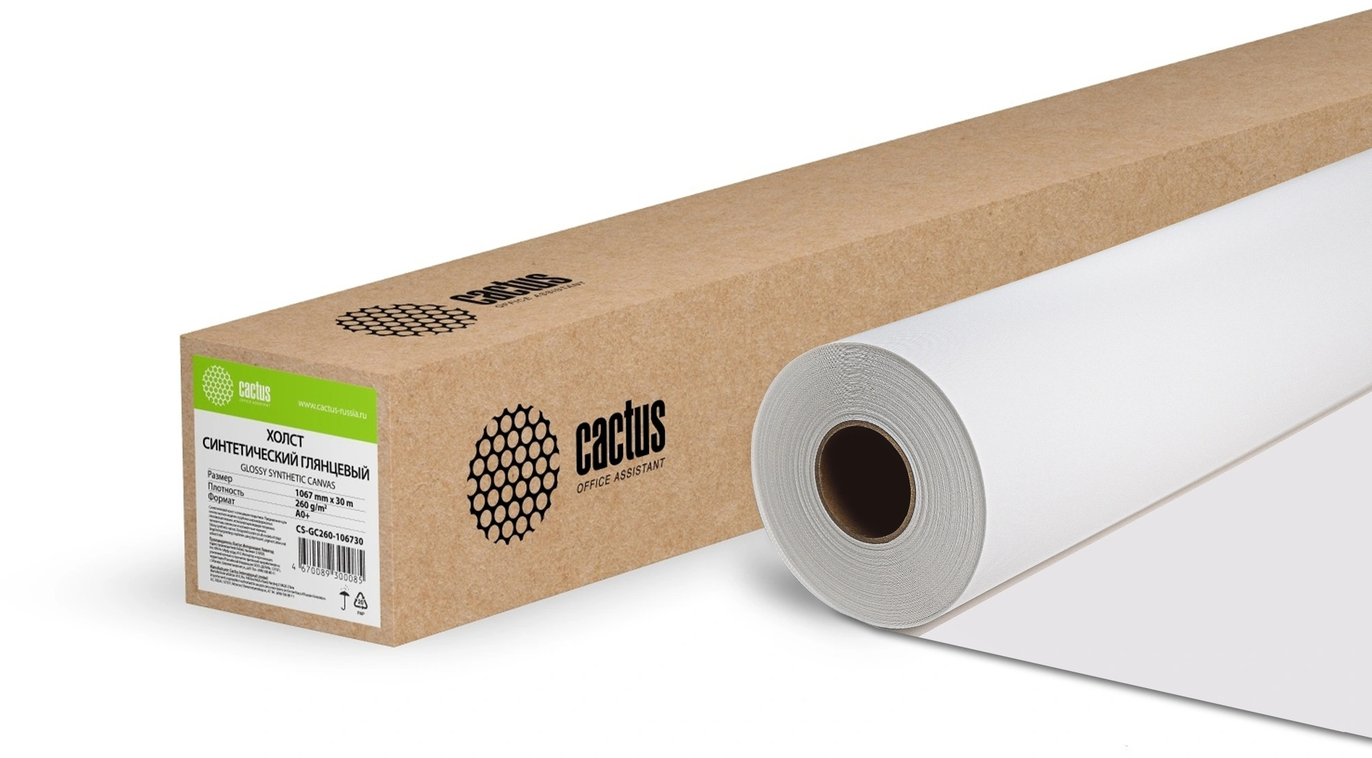 CACTUS CS-GC260-106730