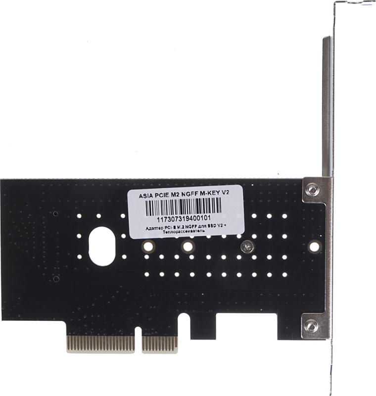 NONAME ASIA PCIE M2 NGFF M-KEY V2