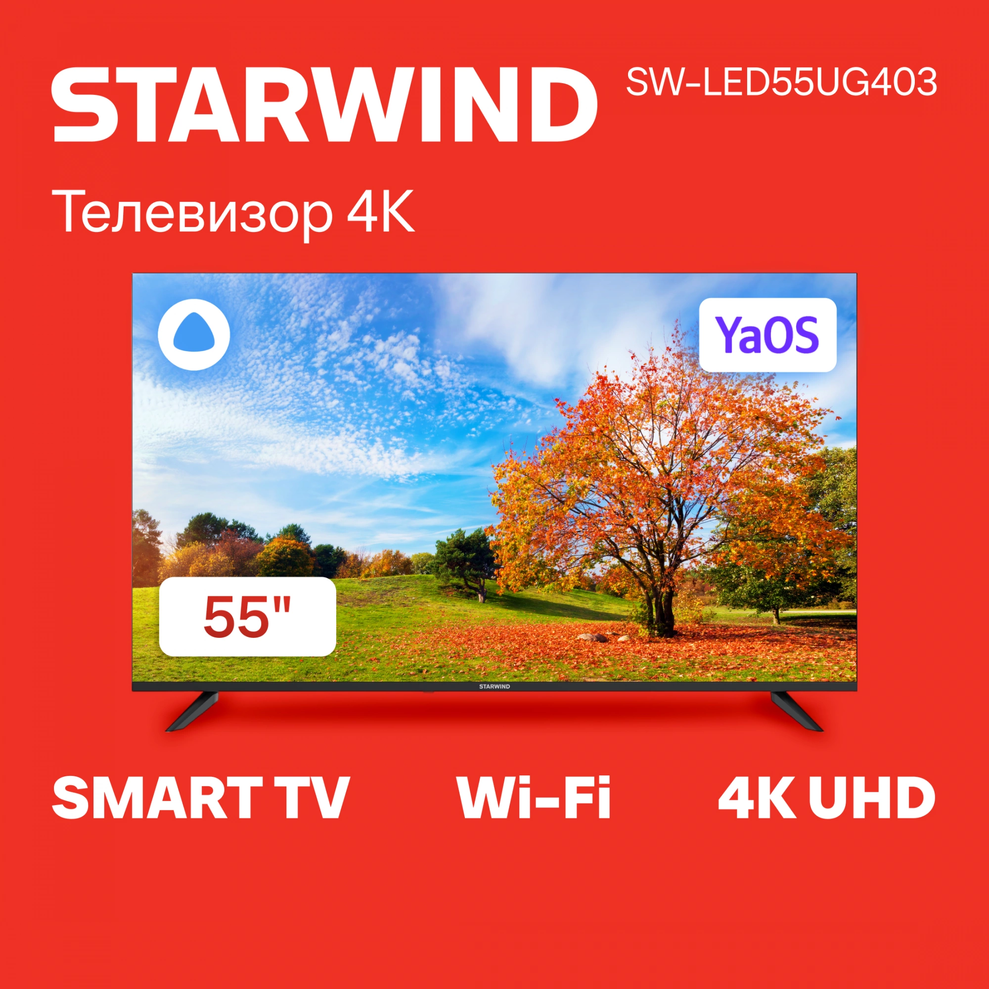 STARWIND SW-LED55UG403