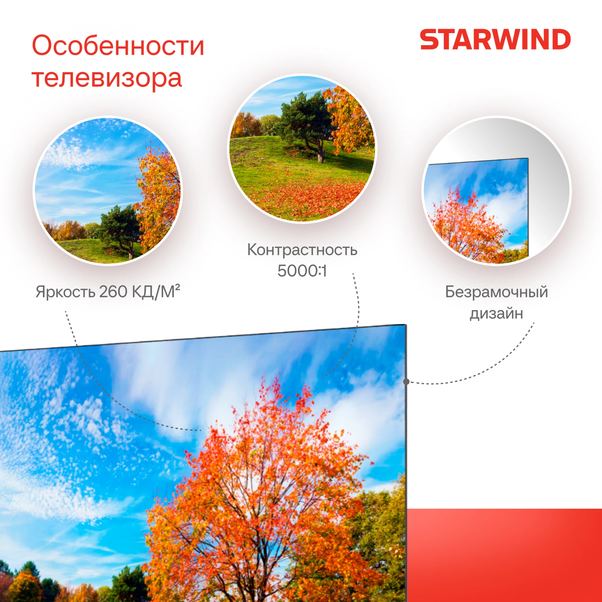 STARWIND SW-LED55UG403
