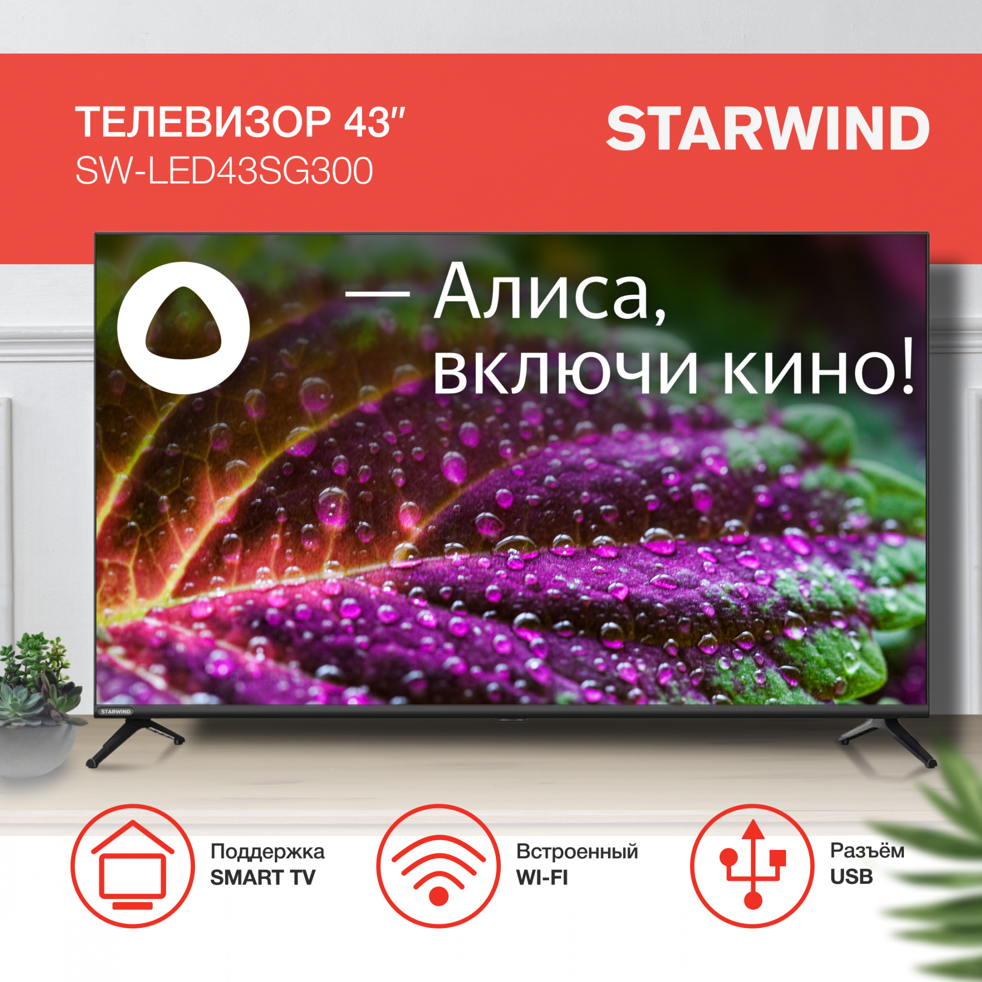 STARWIND SW-LED43SG300