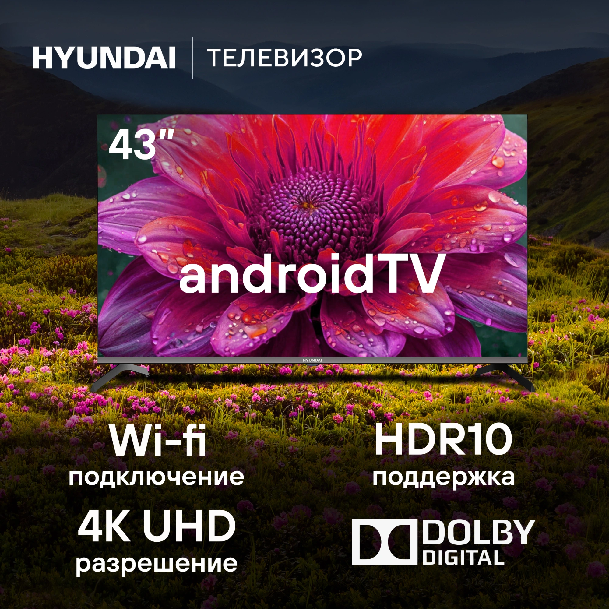 HYUNDAI H-LED43BU7006