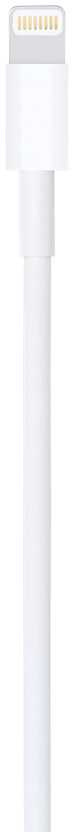 Apple Lightning to USB cable (0.5 m) [ME291ZM/A]