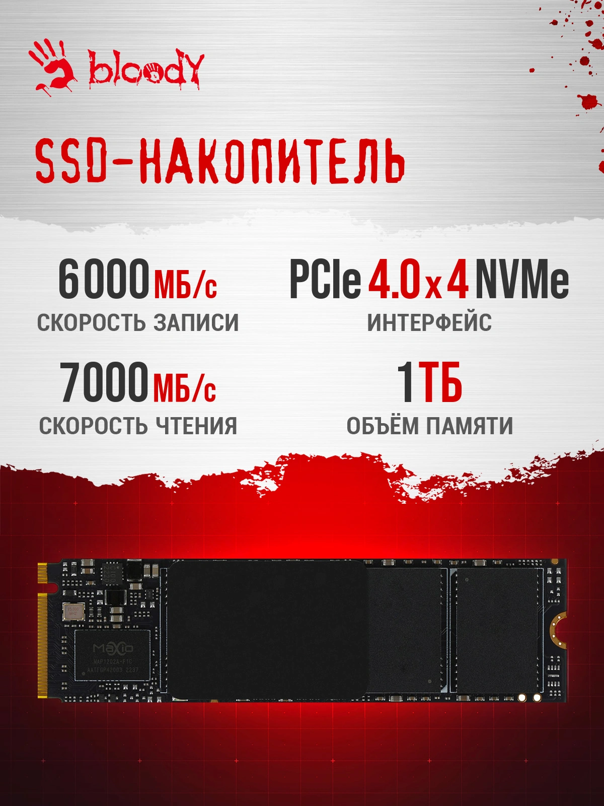 BLOODY 2129080 BLOODY 2129080