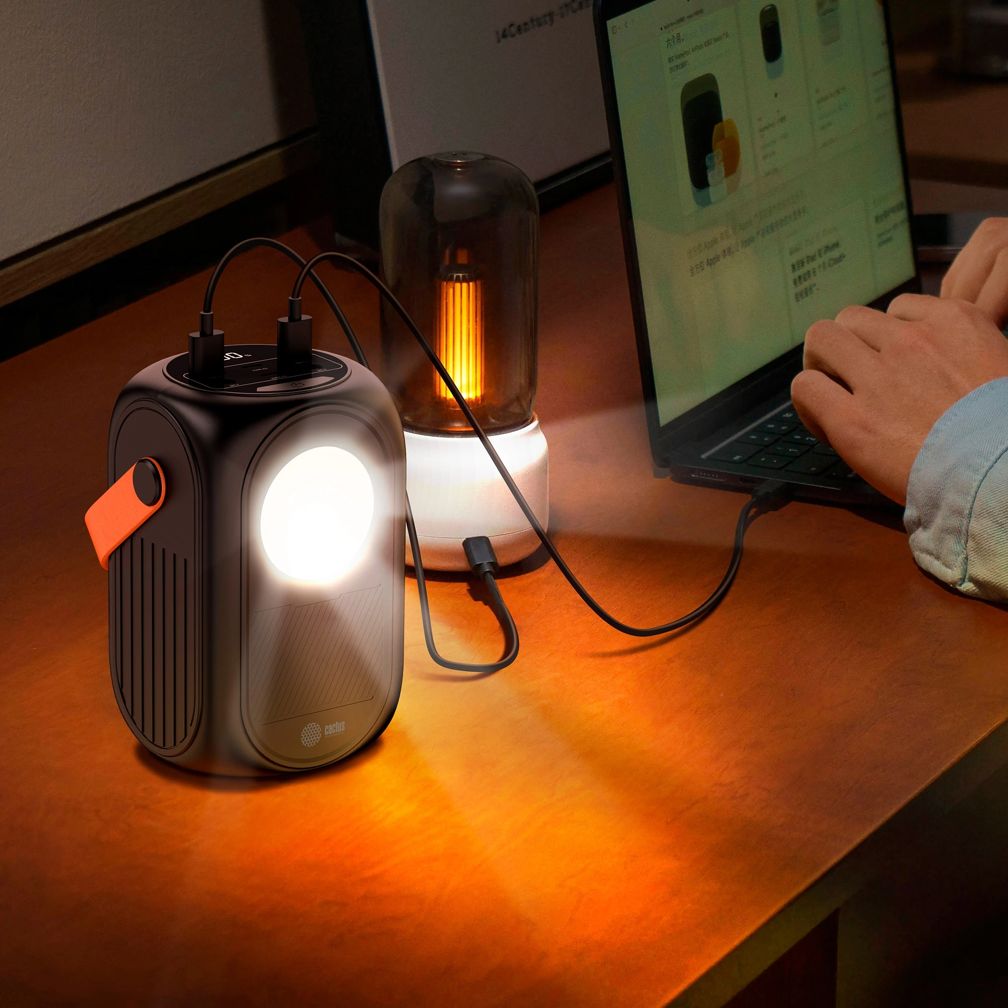 CACTUS CS-PBFSUD-60000