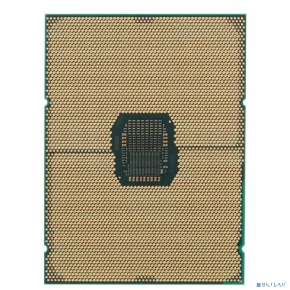 Intel Xeon® Gold 5318Y