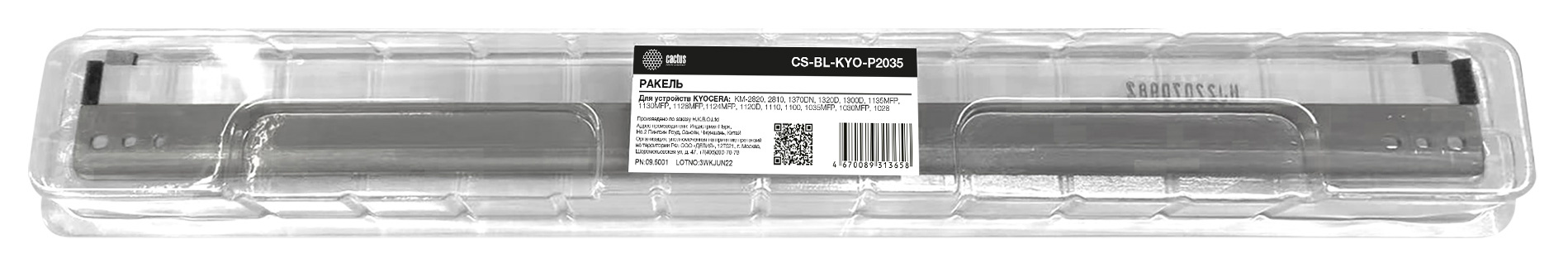 CACTUS CS-BL-KYO-P2035