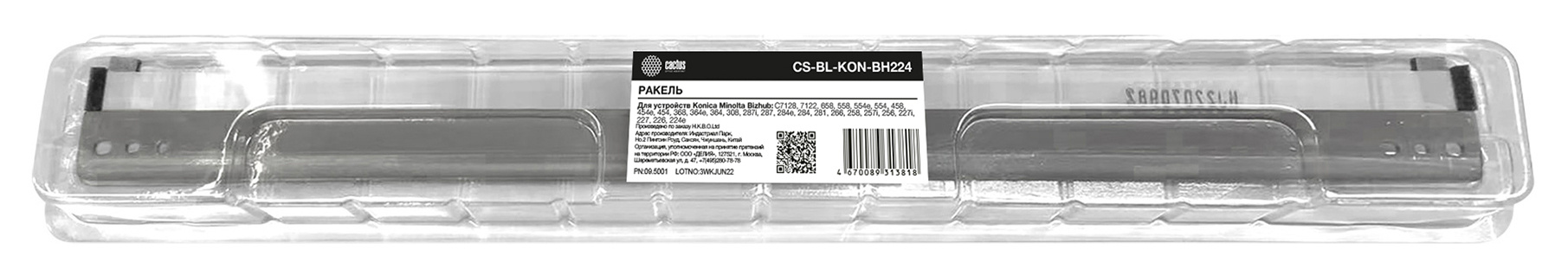 CACTUS CS-BL-KON-BH224