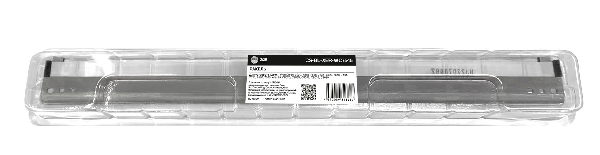 CACTUS CS-BL-XER-WC7545