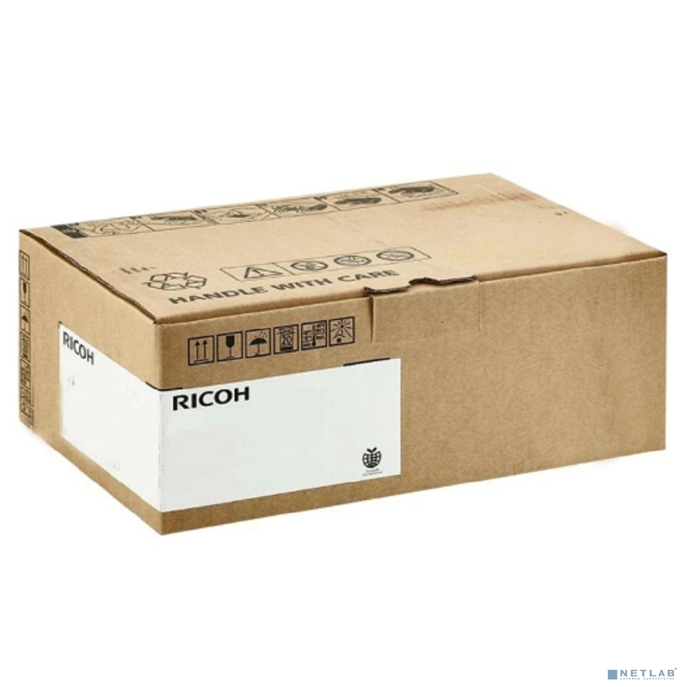 Ricoh B7891241