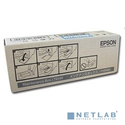Epson C13T619000