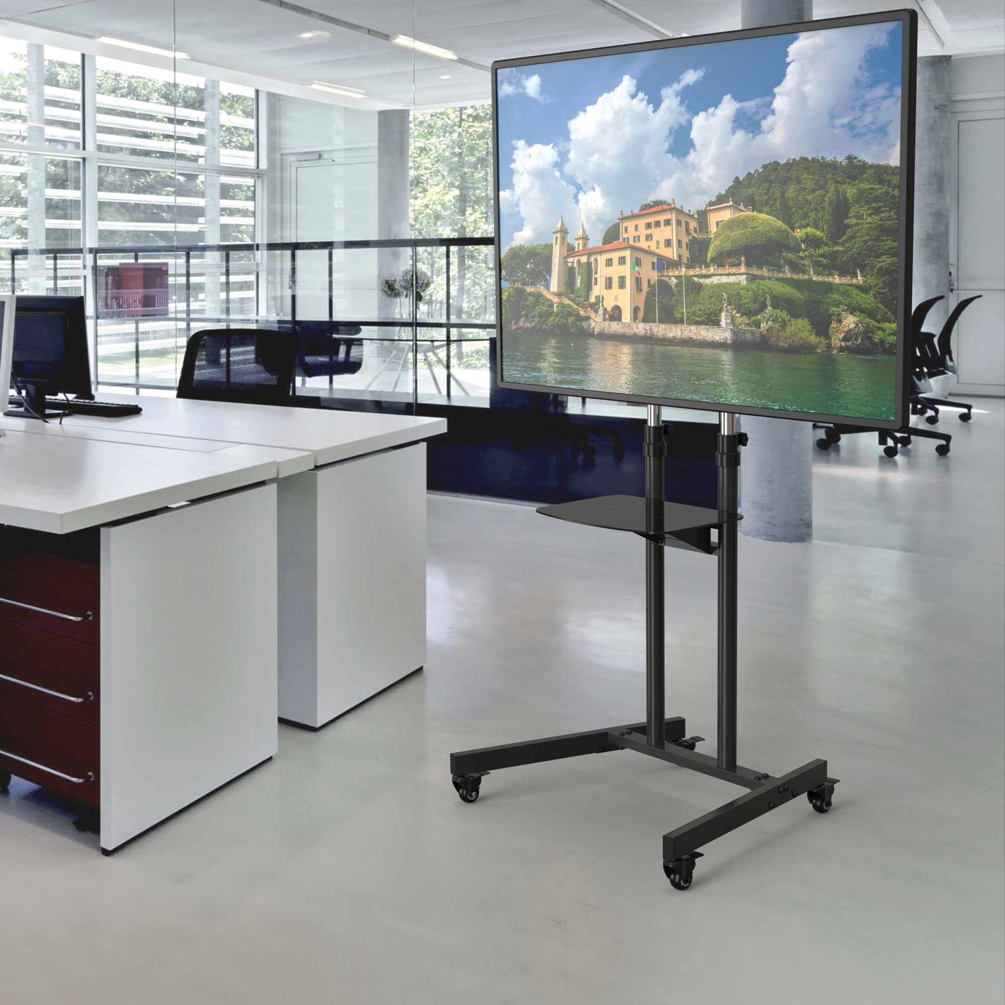 CACTUS CS-ST31BK