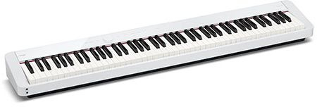 CASIO PX-S1100WE