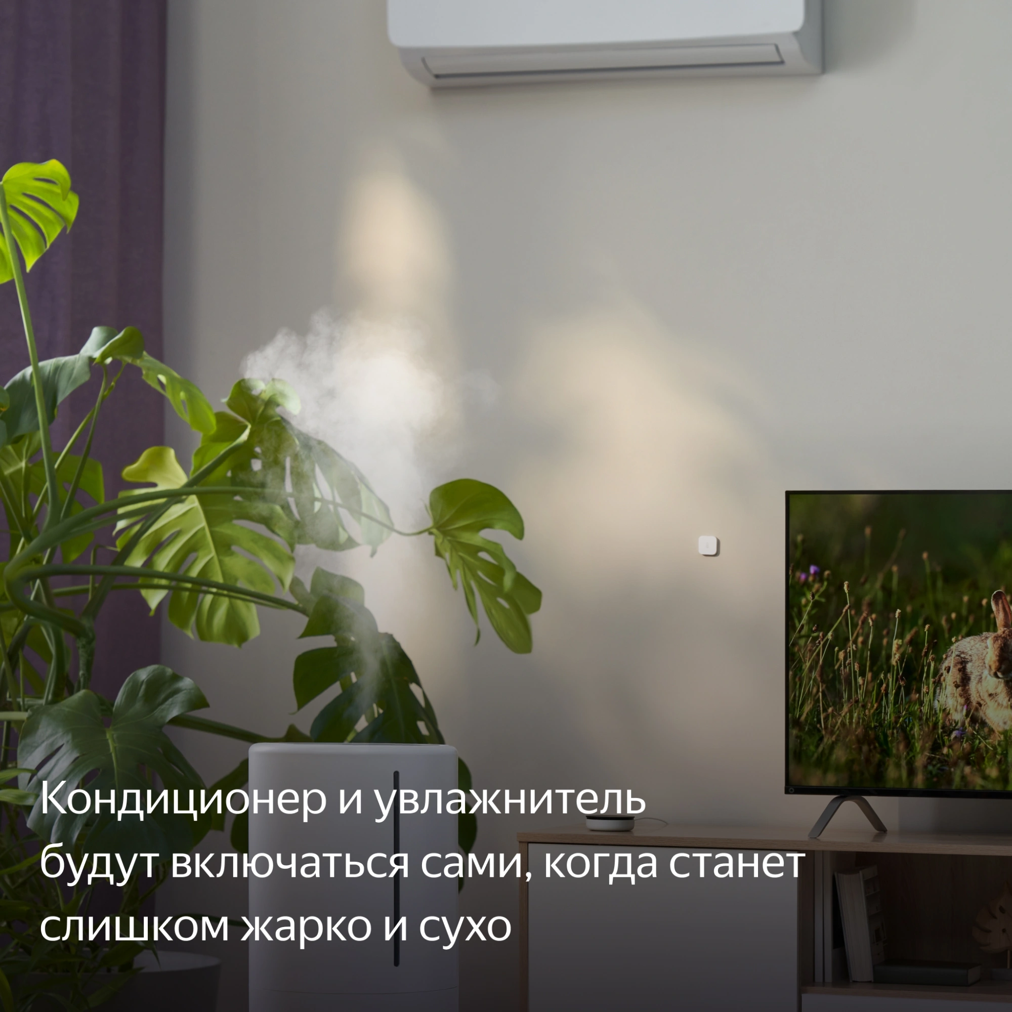 Яндекс Датчик температуры и влажности Zigbee YNDX-00523