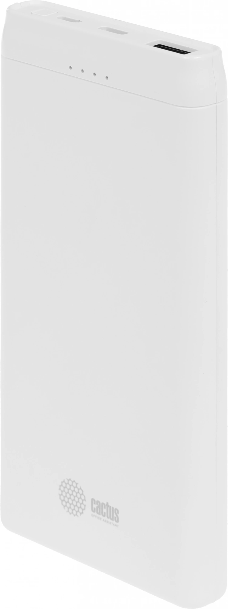 CACTUS CS-PBFSMT-10000