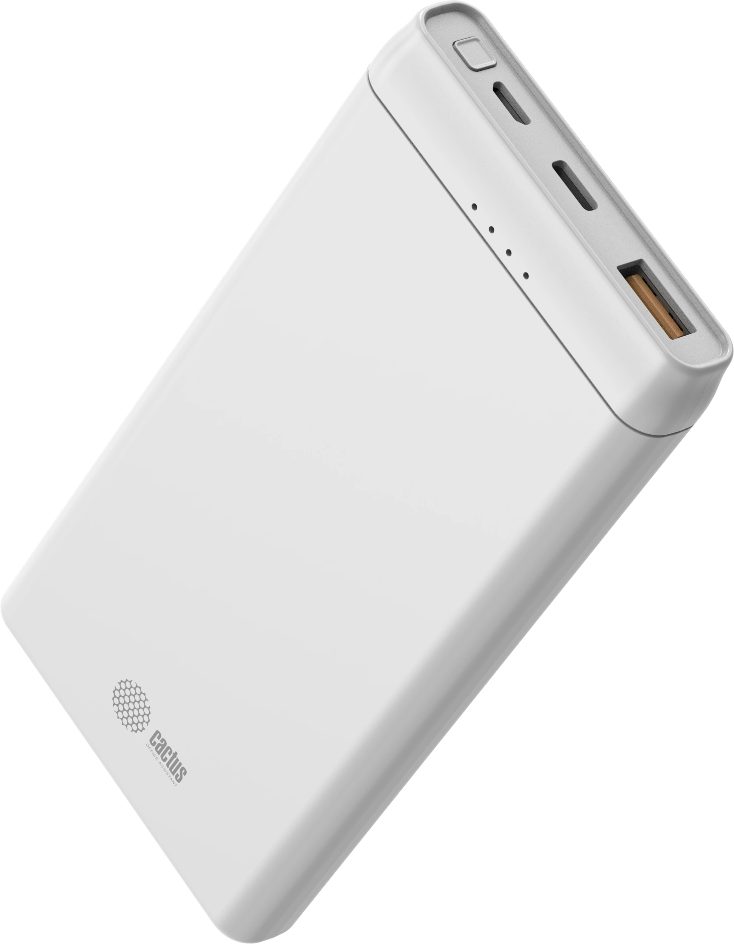 CACTUS CS-PBFSMT-10000