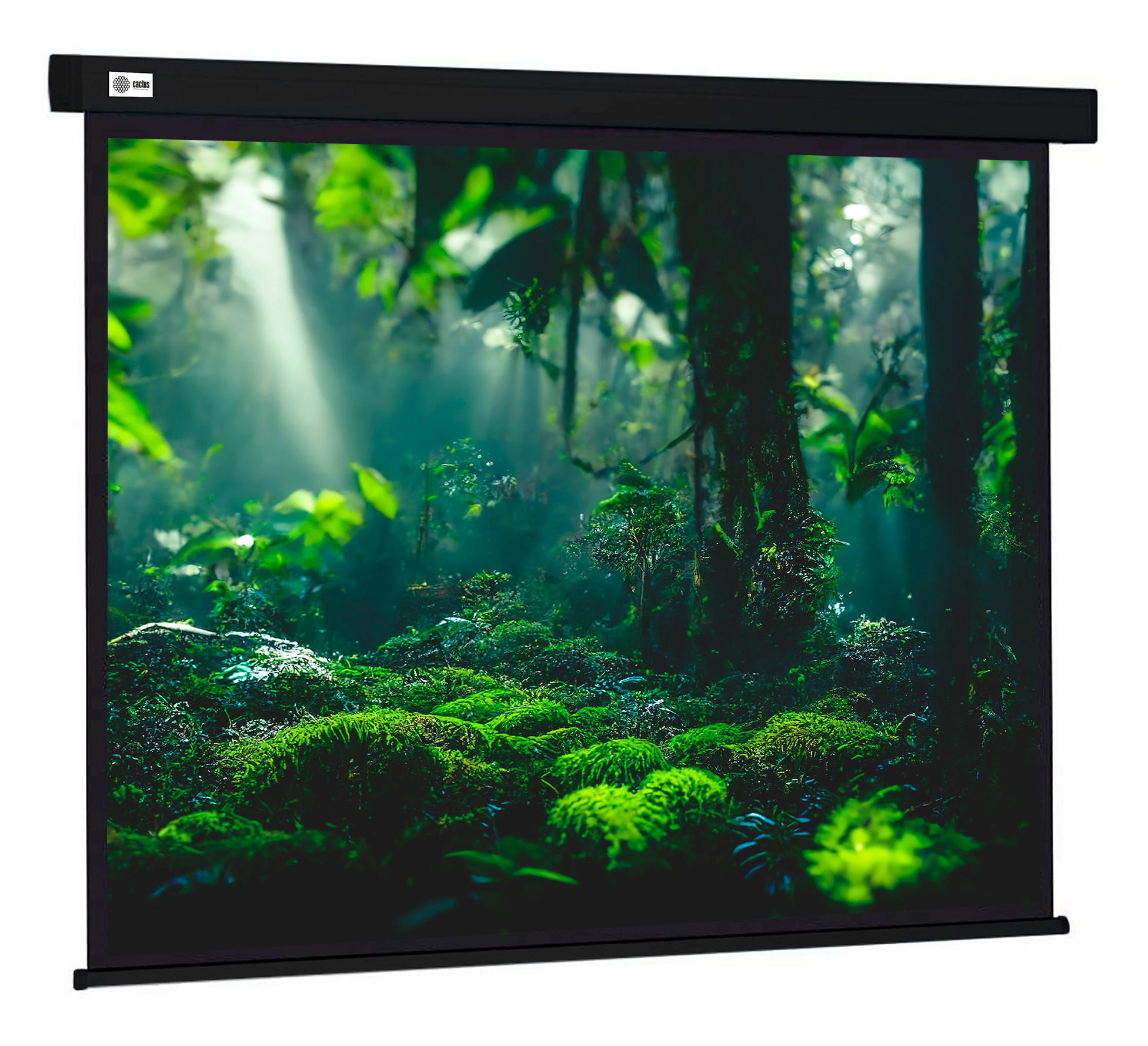 Экран Cactus Wallscreen CS-PSW-213X213-BK,  213х213 см, 1:1,  настенно-потолочный черный