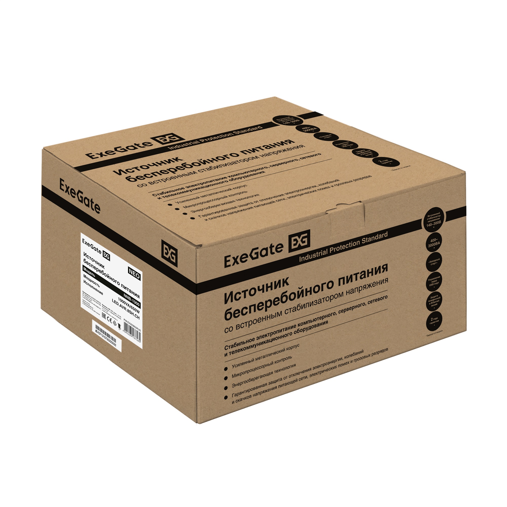 ExeGate EX293855RUS