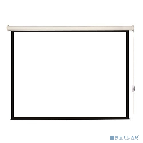 Lumien Eco Control [LEC-100108] Экран с электроприводом 229x305 см (раб. область 221х297 см) Matte White черная кайма по периметру 4:3