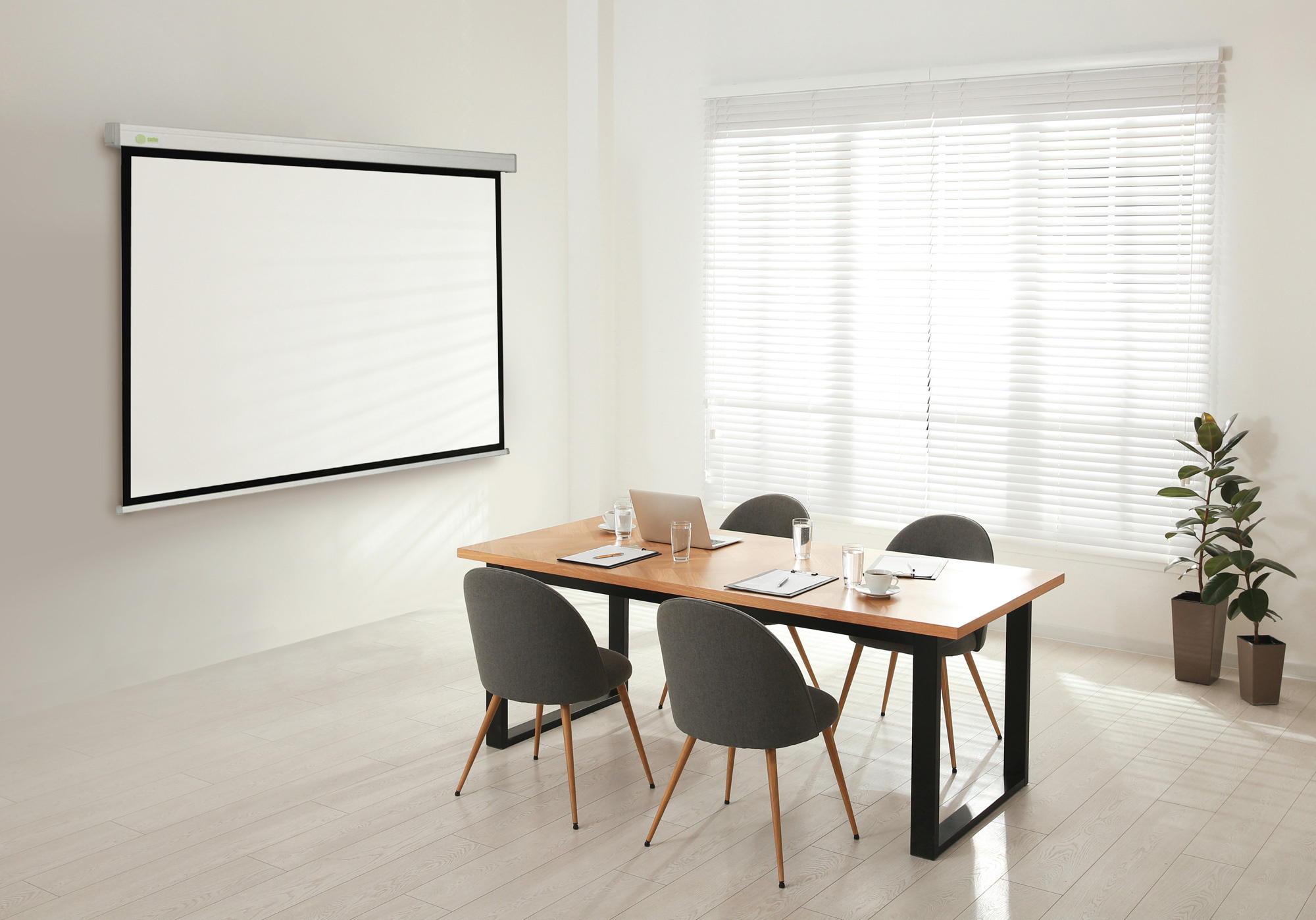 Экран Cactus Wallscreen CS-PSW-213x213 213 x 213см 1:1 настенно-потолочный рулонный белый