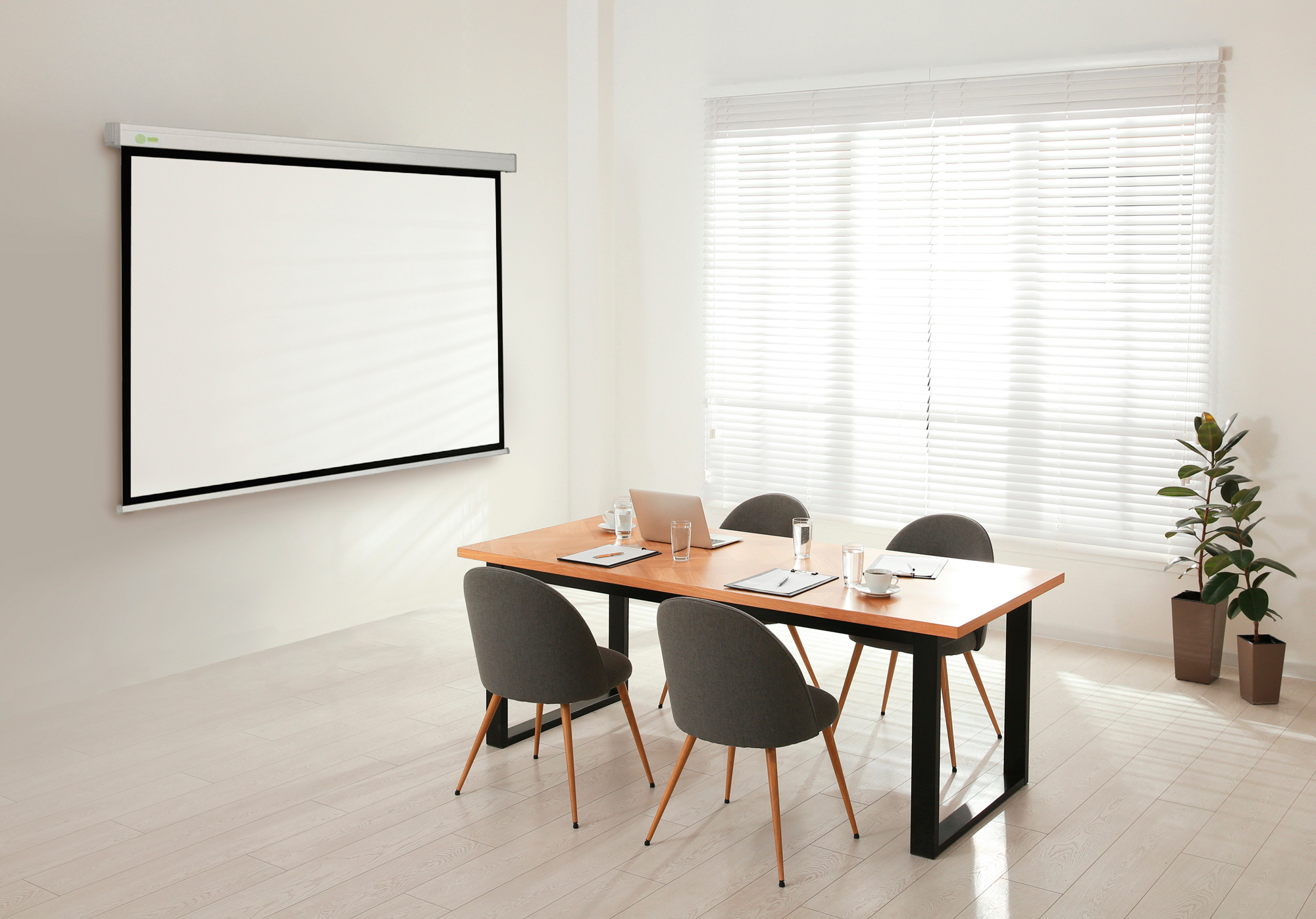 Экран Cactus Wallscreen CS-PSW-187x332 187 x 332см 16:9 настенно-потолочный рулонный белый