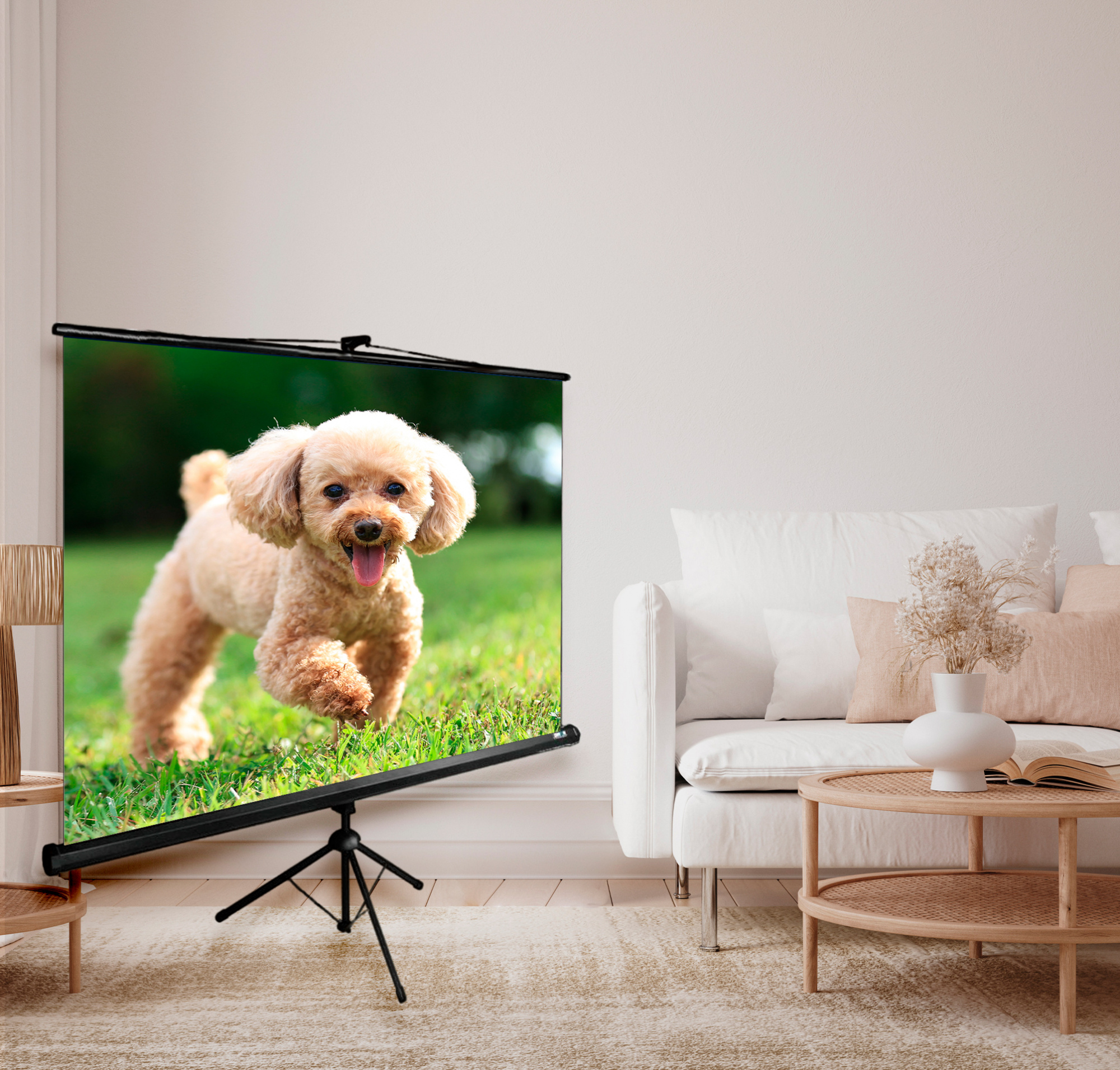 Экран Cactus TriExpert CS-PSTE-180x135-BK 135x180 см 4:3 напольный рулонный