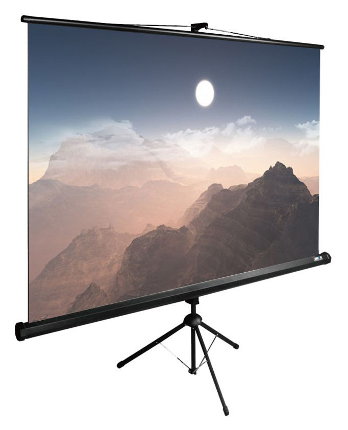 Экран Cactus TriExpert CS-PSTE-180x180-BK Экран 180x180 см 1:1 напольный рулонный