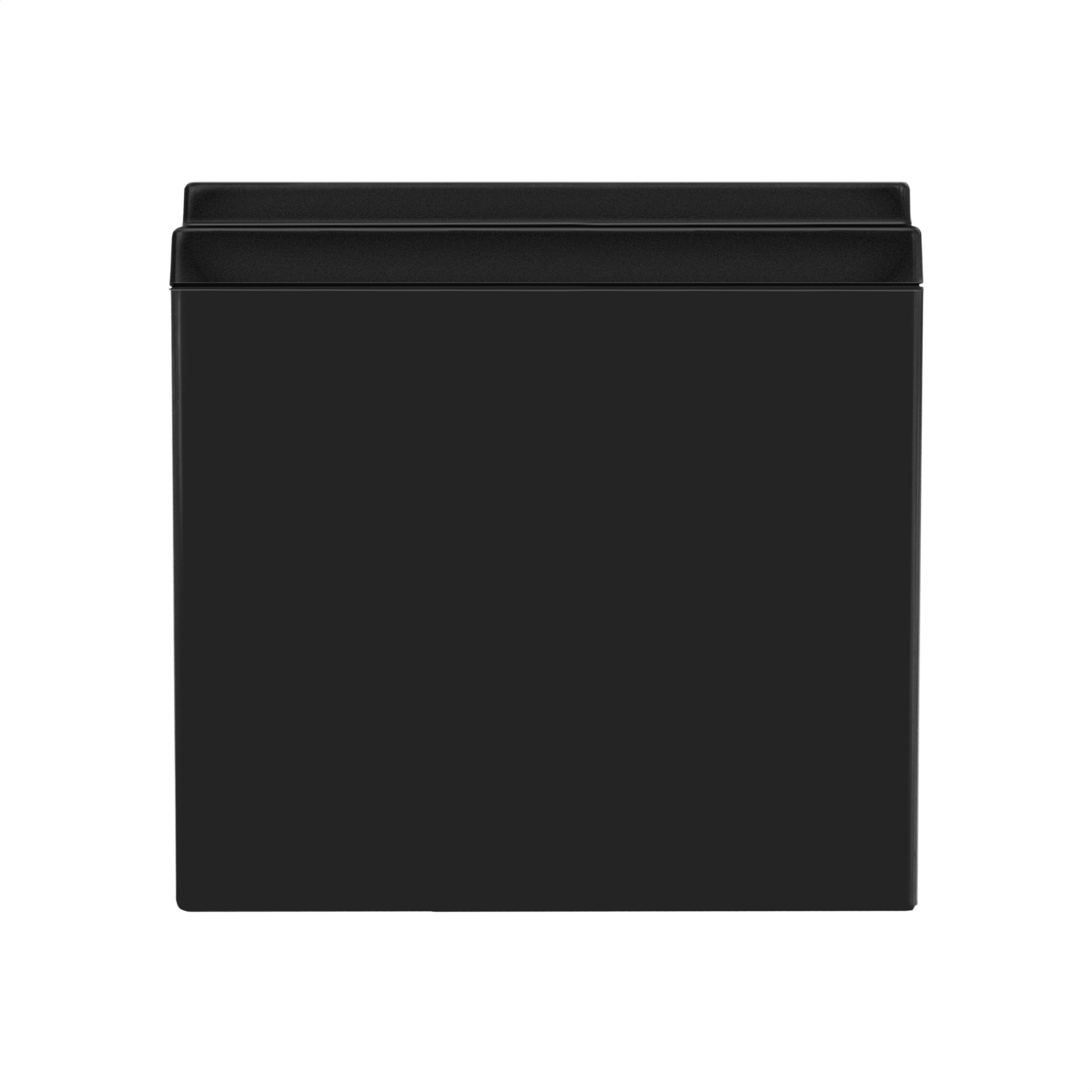Exegate EX282967RUS Аккумуляторная батарея DTM 1212 (12V 12Ah, клеммы F2) Exegate EX282967RUS Аккумуляторная батарея DTM 1212 (12V 12Ah, клеммы F2)