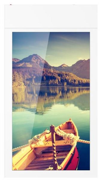 Профессиональный дисплей GoodView TC43H1