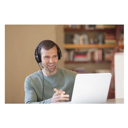 Logitech Stereo Headset H540 981-000480