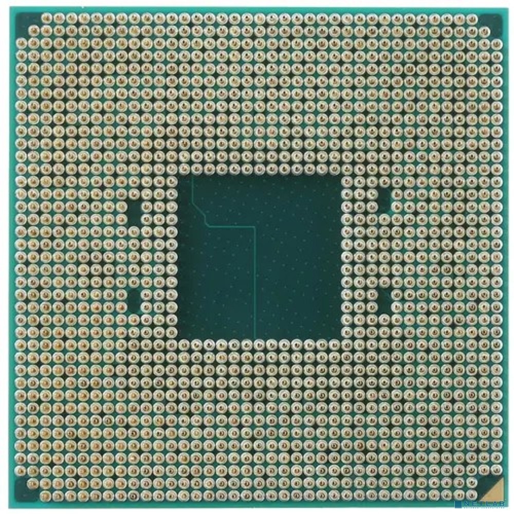 AMD