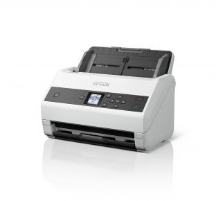 EPSON B11B250401/503