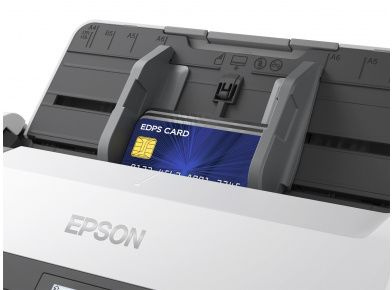 EPSON B11B250401/503