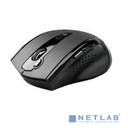 A-4Tech Мышь G10-810F-1 черный USB,  V-Track, 2+1 кл-кн., беспр.опт.мышь, 2.4ГГц [675764]