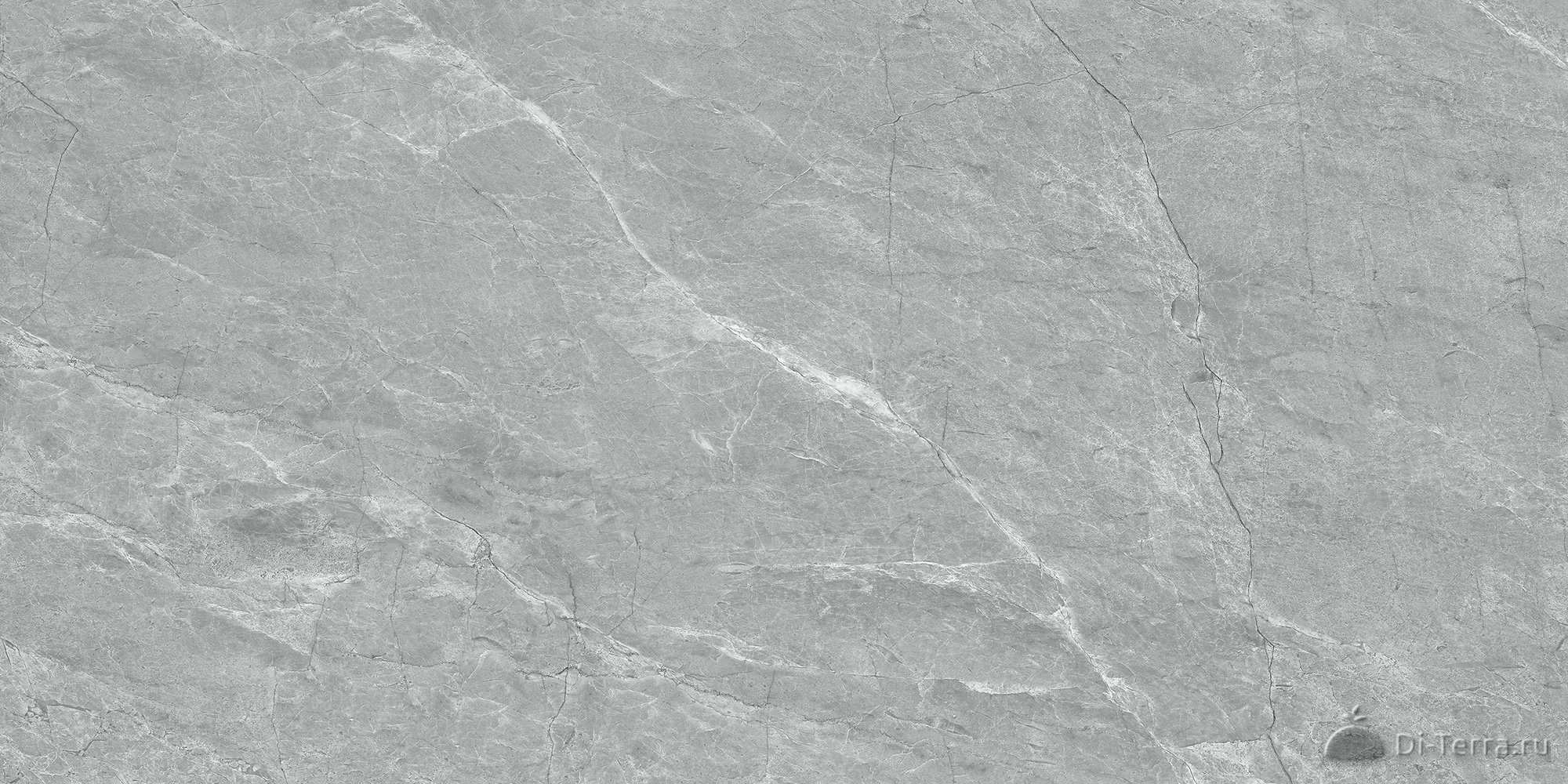 Ab3117g Pg9-1260 Carbon 1200×600 Full Lappato