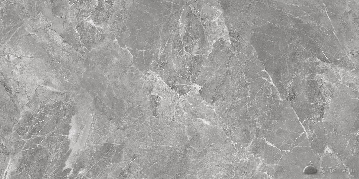Ab3118g Pg9-1260 Grigi 1200×600 Full Lappato