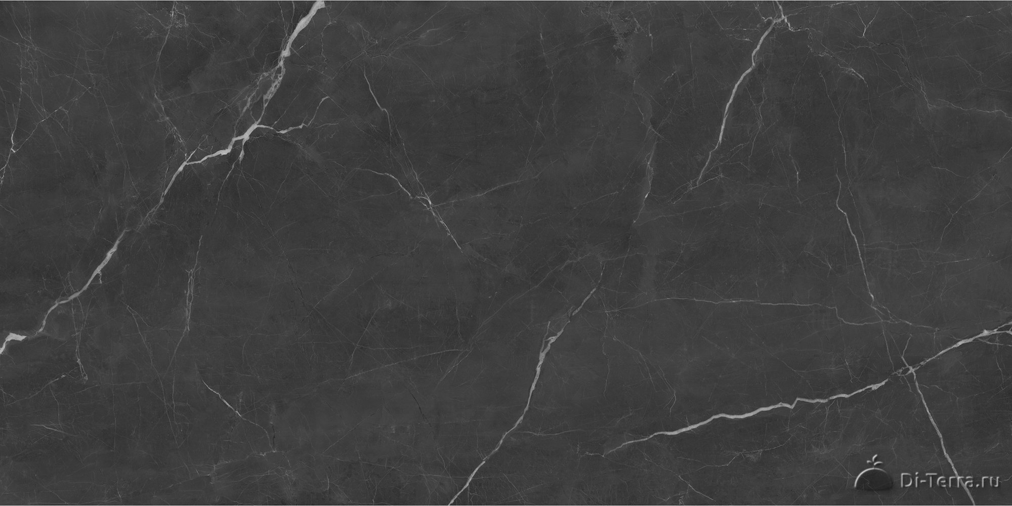Ab3124g Pg9-1260 Roma Black 1200×600 Full Lappato