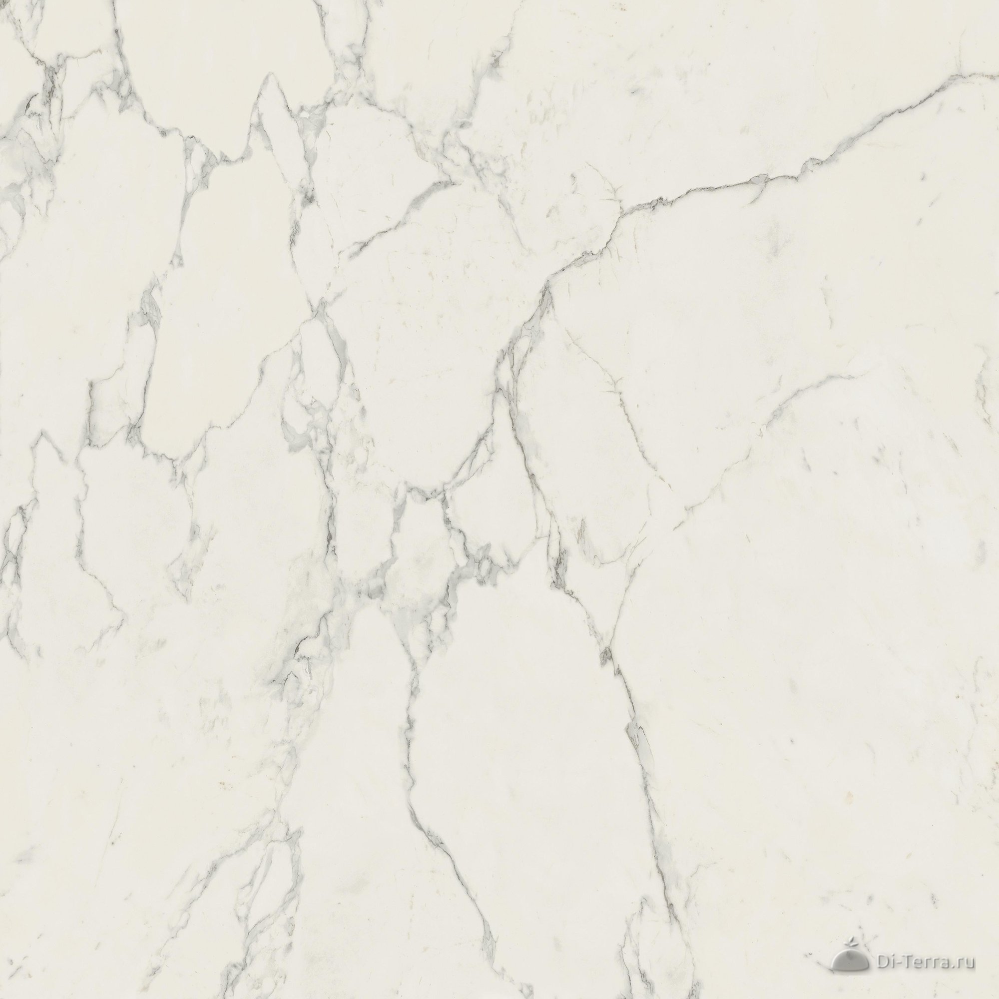 Marvel Calacatta Extra 120×120