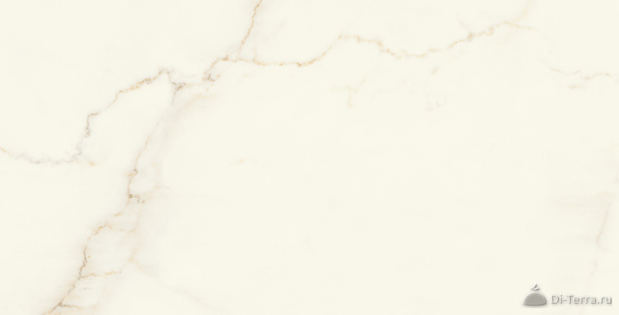 Marvel Calacatta Apuano 75×150 Silk