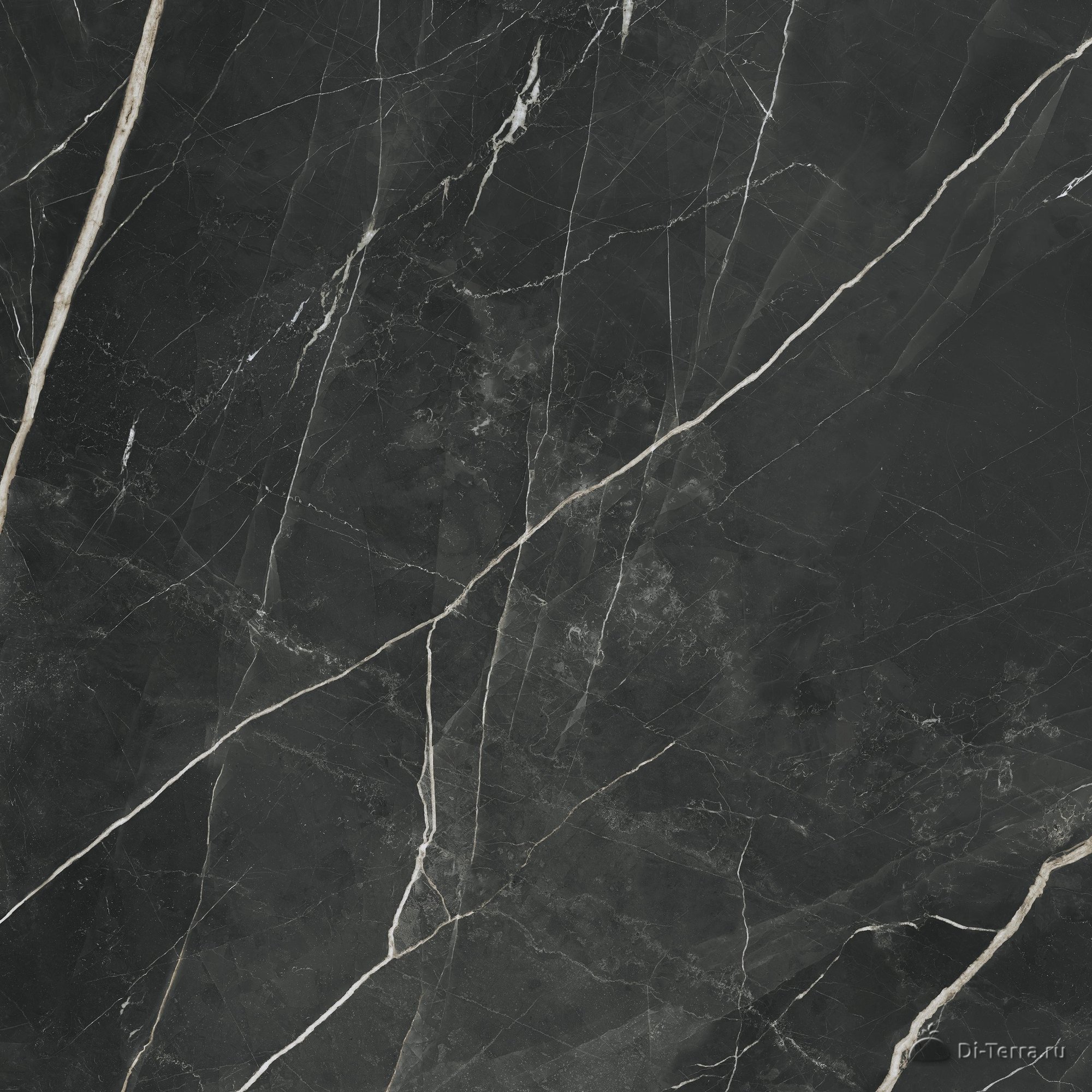 Marvel Calacatta Black 120×120 Lapp.