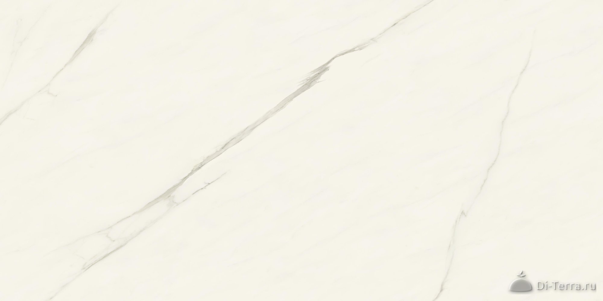 Calacatta Meraviglia Silk - 12mm St