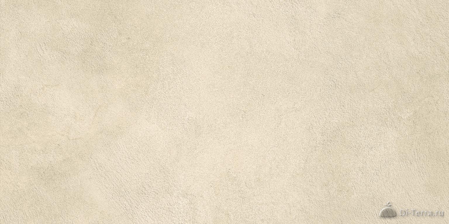 Boost Expression Camel 30×60