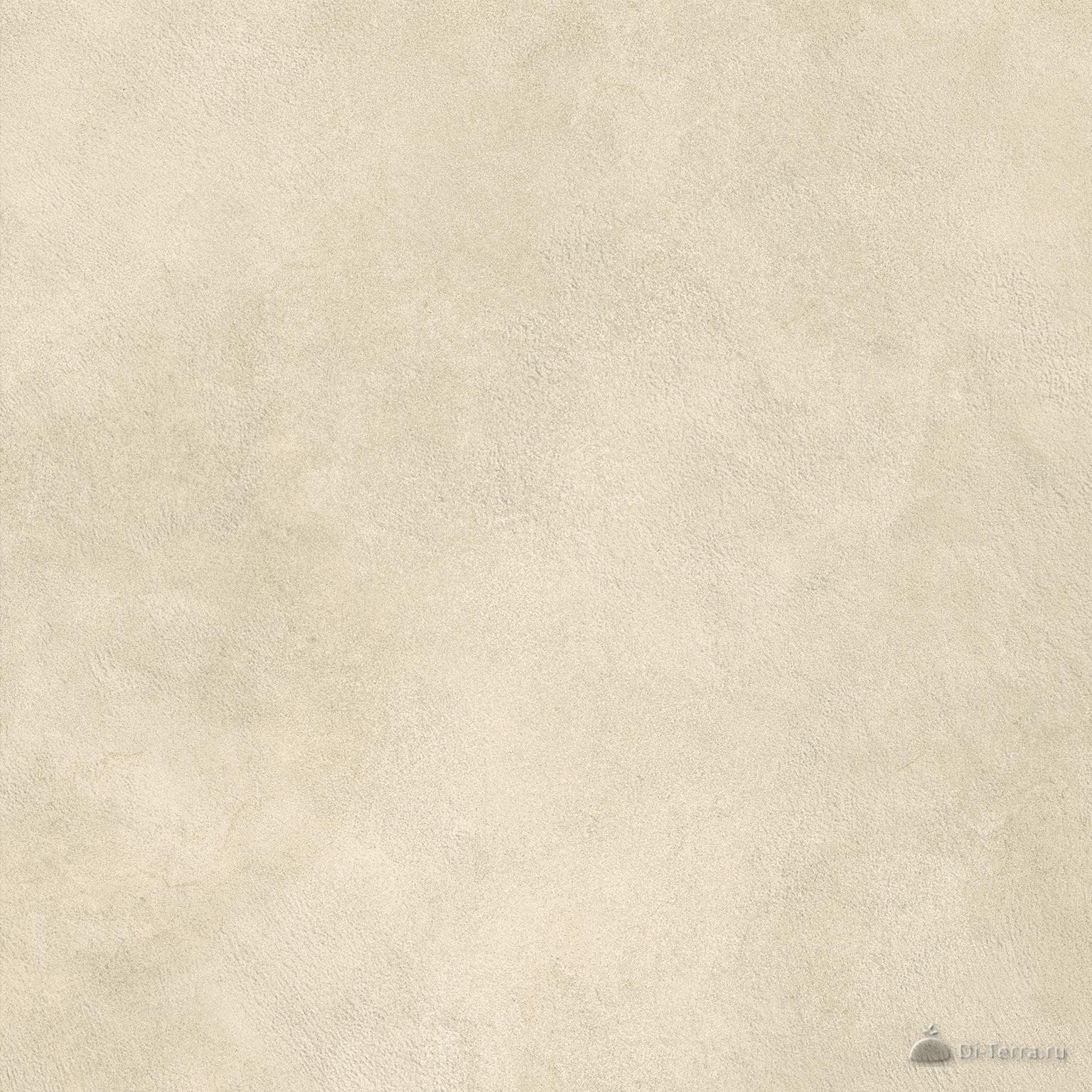 Boost Expression Camel 60×60