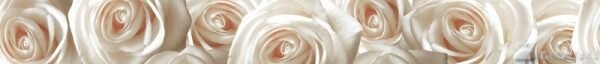 Camellia Decor 50×25 Light Beige