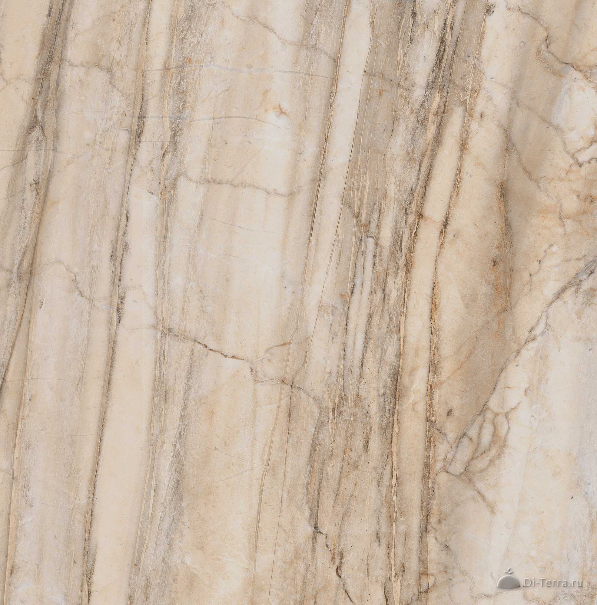 Bernini 80×80 Ret