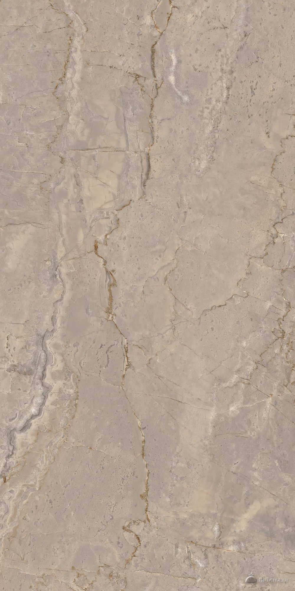 Bernini 120×60 Polished